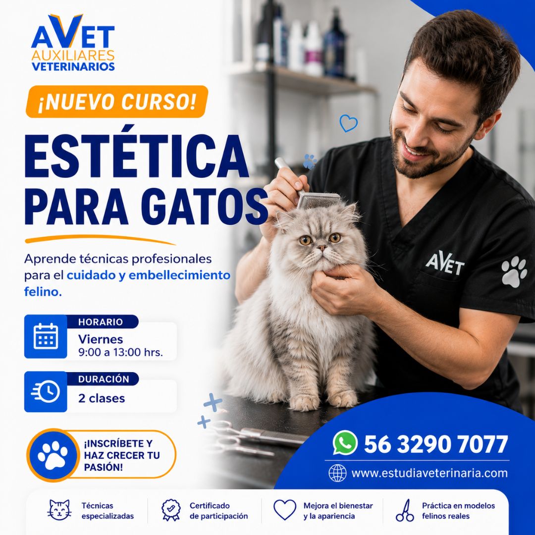 Diplomado en Estética Canina